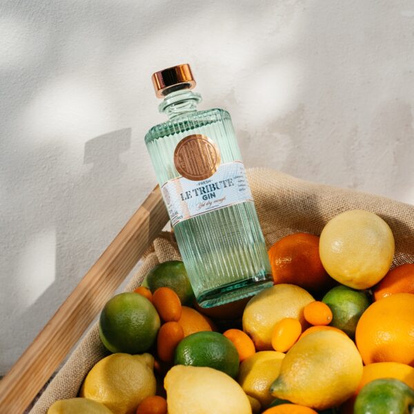 GIN MIGNON - immagine 3