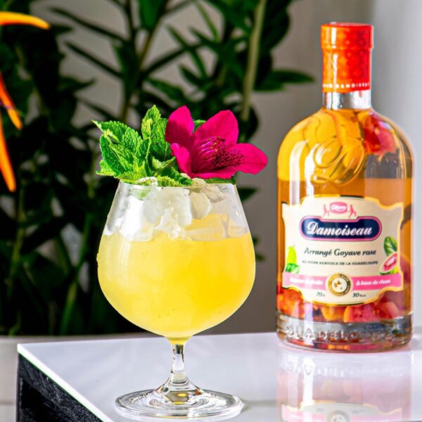 ARRANGÉ GUAVA - immagine 4