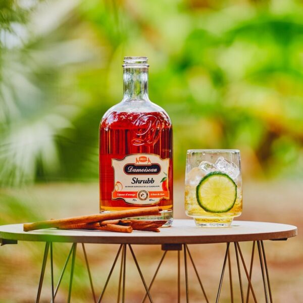 LIQUORE SHRUBB - immagine 3