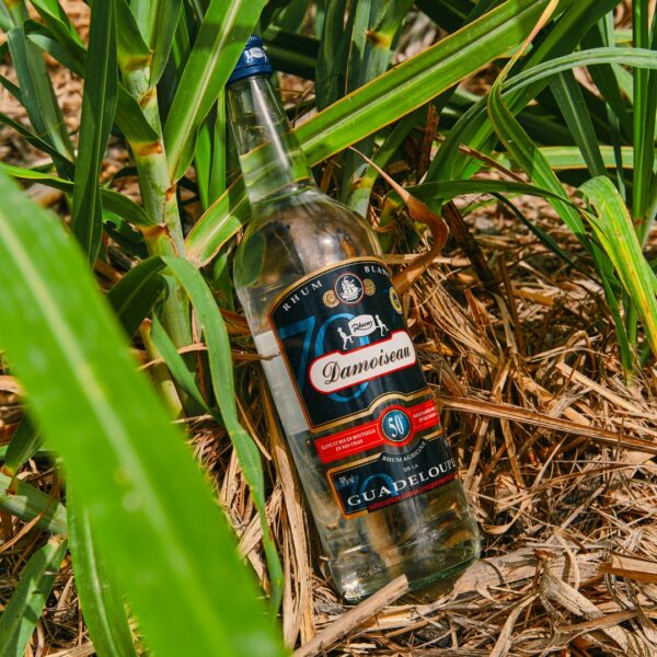 WHITE RHUM 50° - immagine 2