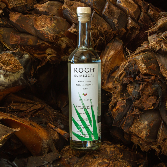 Espadin-KOCH (1)