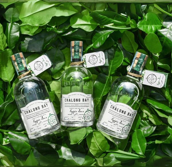 TROPICAL NOTES KAFFIR LIME - immagine 2