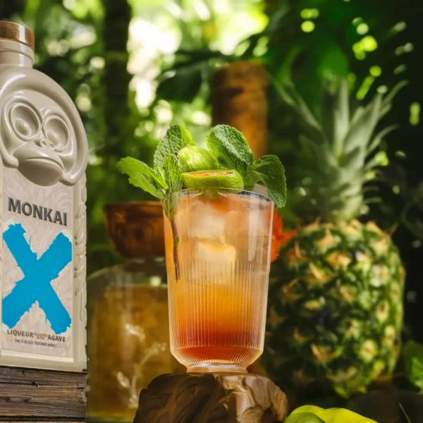 LIQUORE ALL'AGAVE - immagine 4