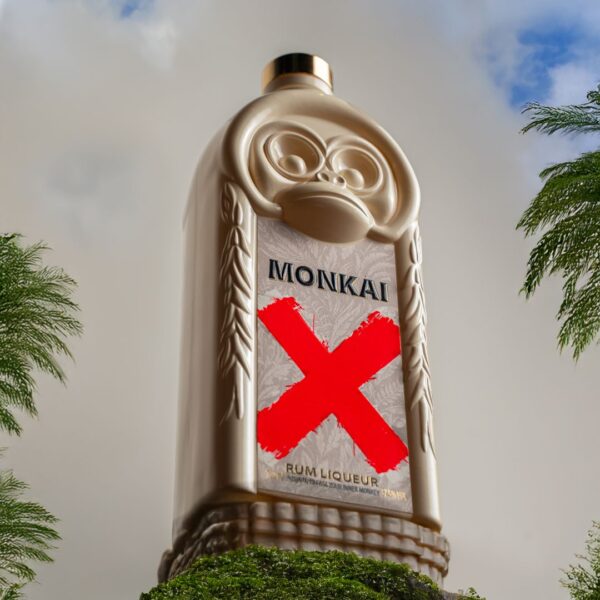 LIQUORE AL RUM - immagine 2