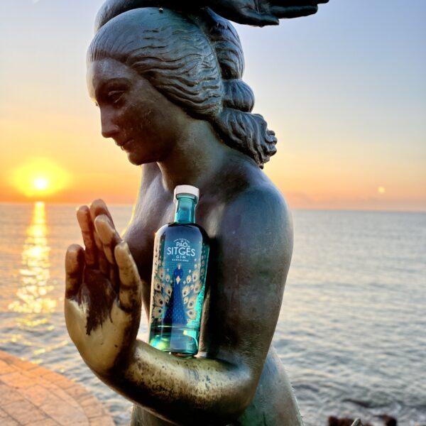 LONDON DRY GIN - immagine 2