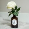 FABULA - Rosa, Fiori di Sambuco, Lime - immagine 2