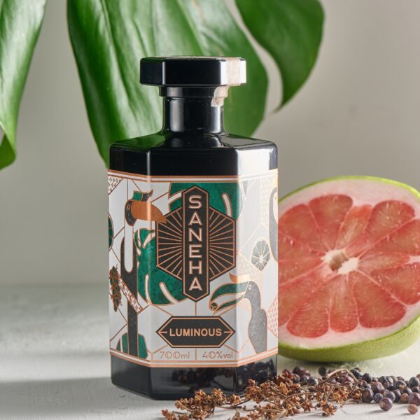 LUMINOUS GIN - immagine 3