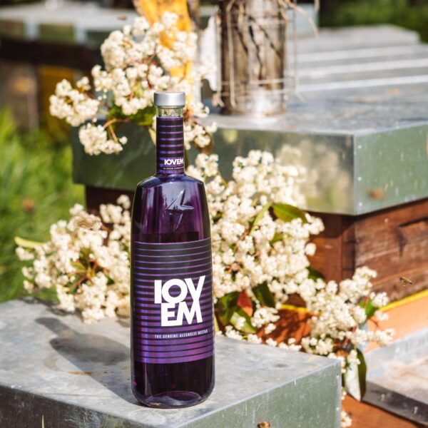 IOVEM - immagine 2