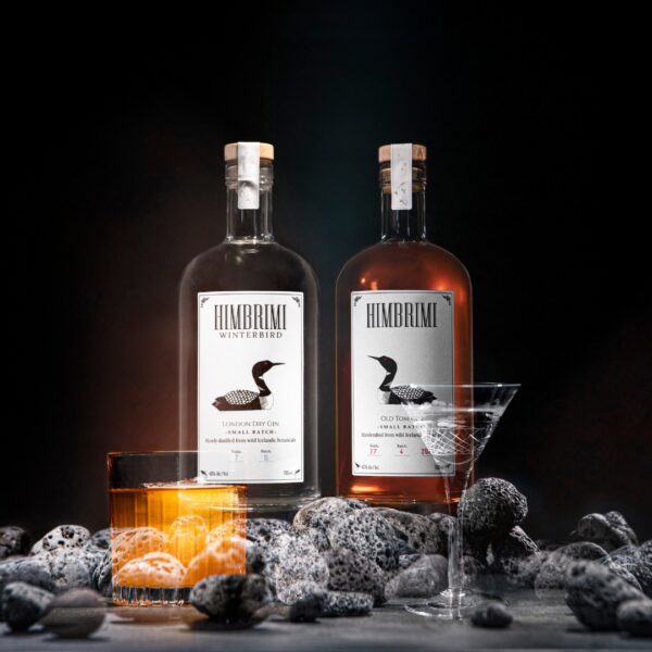 WINTERBIRD - immagine 2