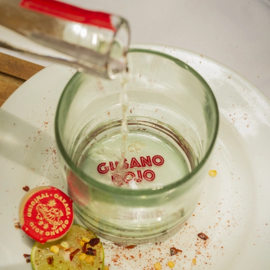 gusano-rojo-3