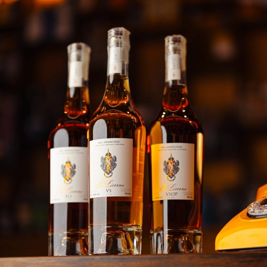 la_licorne_foto_blog