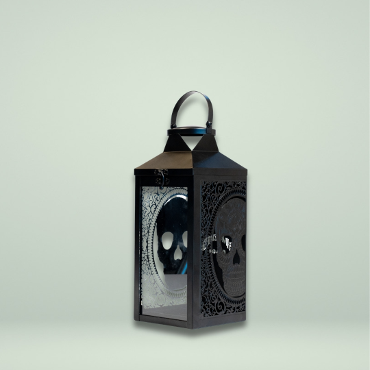 LANTERNA AMUERTE + GIN 70 cl - immagine 2
